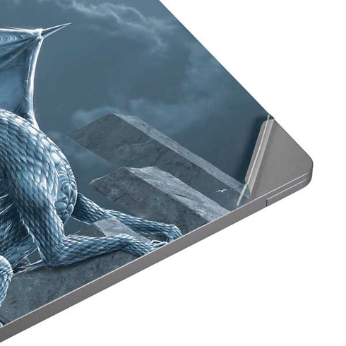 Silver Dragon by Vincent Hie Laptop Skins